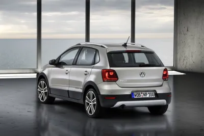 Polo Cross